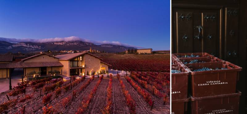 Señorío de San Vicente renueva su nave de elaboración para ganar precisión en bodega