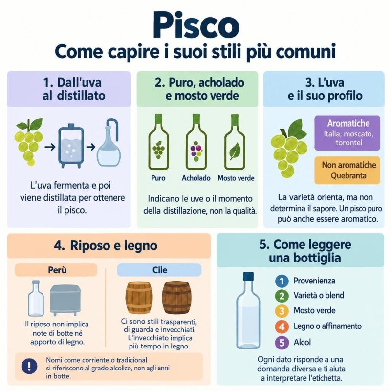 Infografica che spiega il pisco con tre chiavi: uve, momento della distillazione e ruolo del legno in Perù e Cile.