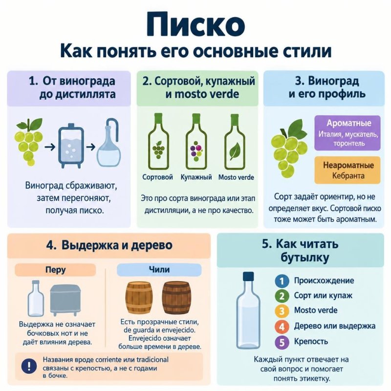Инфографика объясняет писко через три ключа: виноград, момент перегонки и роль дерева в Перу и Чили.