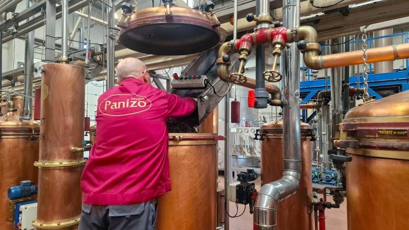 Orujos Panizo prevé convertir más de dos millones de kilos de orujo en 225.000 litros de aguardiente