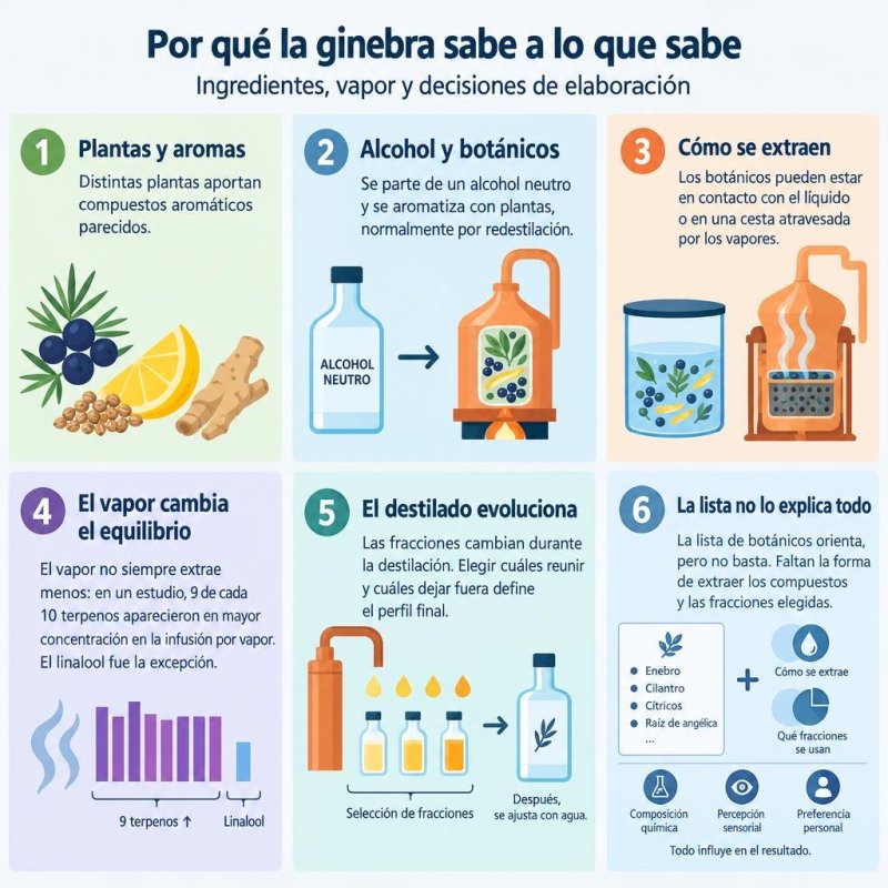 Esquema simplificado de cómo botánicos, extracción y selección de fracciones influyen en el aroma de la ginebra redestilada.