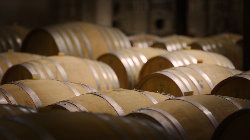 La bioprotección en bodega solo funciona bien con dosis suficiente y aplicación temprana