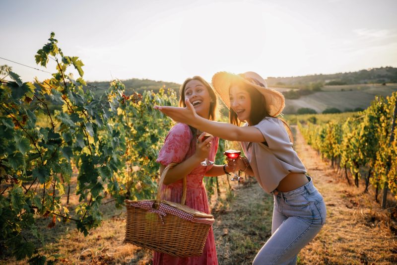 Francia incorpora el enoturismo a las ayudas públicas del sector del vino