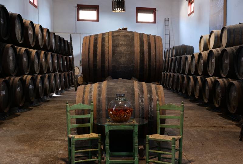 ACEVIN incorpora Condado de Huelva y León a Rutas del Vino de España