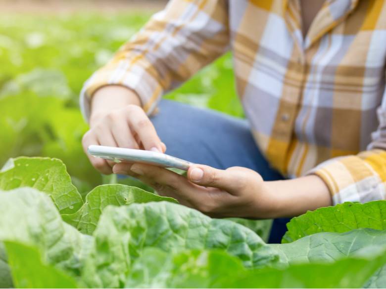 Italia se juega una economía a dos velocidades por el avance desigual de la inteligencia artificial
