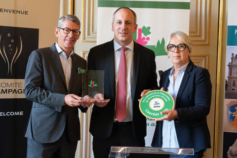 Épernay recibe el premio francés al patrimonio vitícola por una exposición sobre Champagne