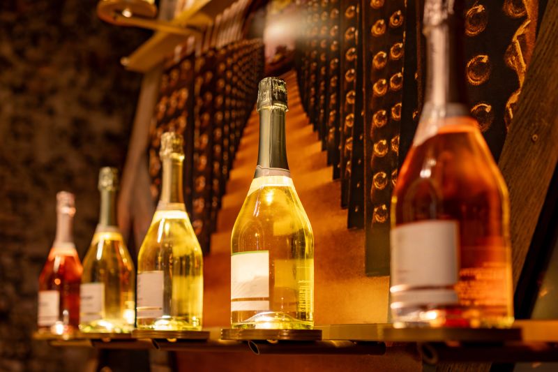 ¡Vinos en Crisis! ¿Qué Está Pasando en Francia?