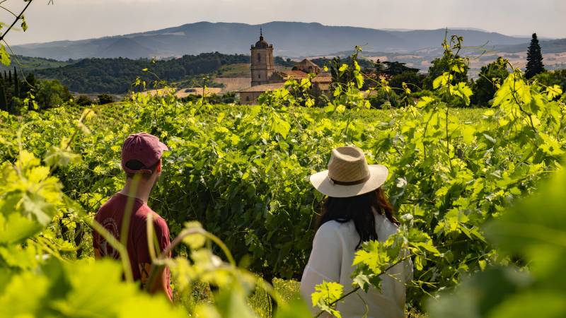 El enoturismo en las rutas del vino alcanza su mayor gasto medio por visitante