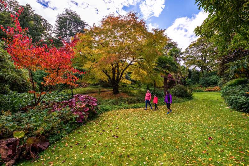 Turismo de Irlanda impulsa las escapadas de otoño con cinco paisajes ligados al Samhain