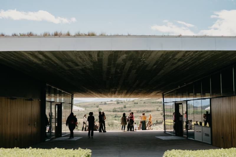 Beronia abre al público su terraceo entre viñas durante la vendimia en Rioja Alta