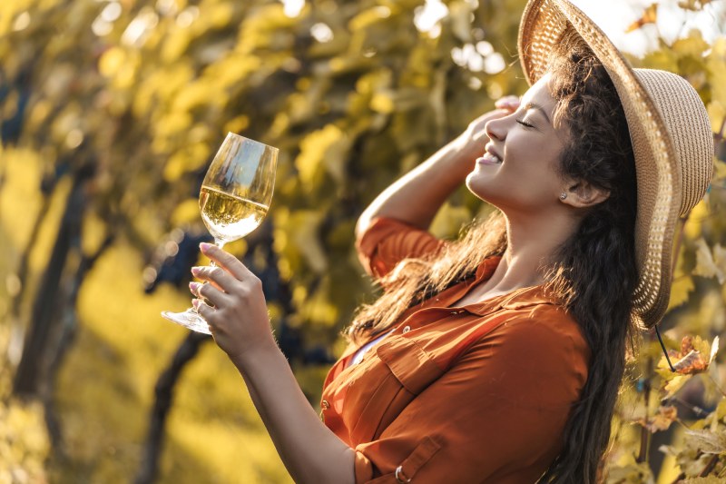 El enoturismo sin coche crece con multitud de experiencias desde las ciudades españolas